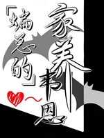 蝙總的家養韋恩[綜英美]小說封面圖