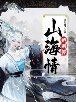 山海情：嬌娥傳小說封面圖