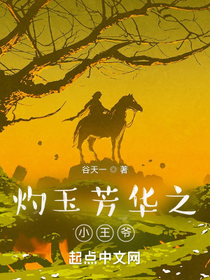 灼玉芳華之小王爺小說封面圖