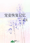 寵妾恢復記憶小說封面圖