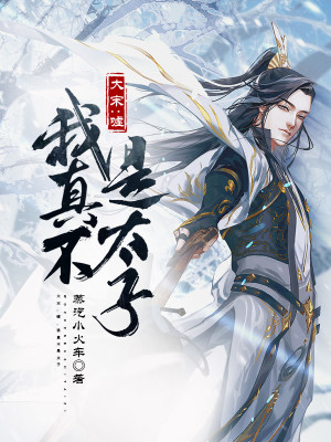 大宋：噓，我真不是太子小說封面圖