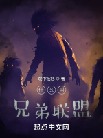 甚麼叫兄弟聯盟小說封面圖