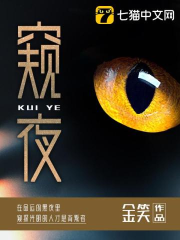 窺夜小說封面圖