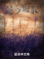 龍之崛起小說封面圖