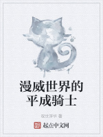 漫威世界的平成騎士小說封面圖