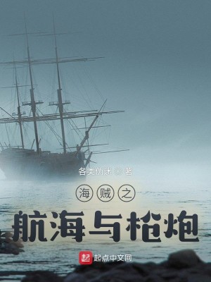 海賊之航海與槍炮小說封面圖