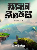 我有詞條修改器小說封面圖