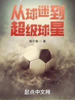 從球迷到超級球星小說封面圖