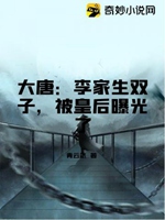 大唐：李家生雙子，被皇后曝光了小說封面圖