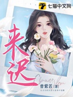 來遲小說封面圖