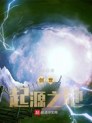 創世天王：起源之地小說封面圖