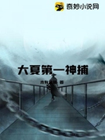 大夏第一神捕小說封面圖