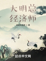 大明總經濟師小說封面圖