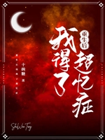 重生後我得了超憶症小說封面圖