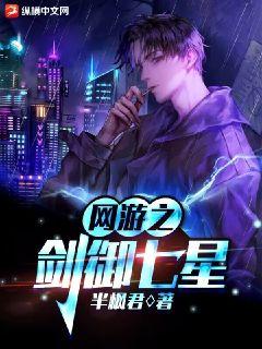 網遊之劍御七星小說封面圖