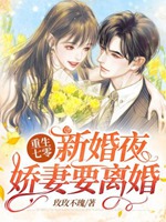 重生七零新婚夜，嬌妻要離婚小說封面圖