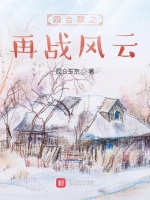 四合院之再戰風雲小說封面圖