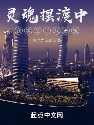 靈魂擺渡中，我學會了八奇技小說封面圖