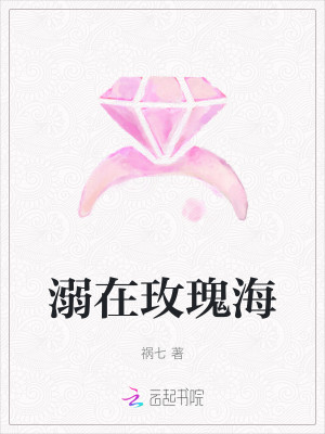 溺在玫瑰海小說封面圖