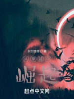 從穿越中崛起小說封面圖