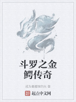 鬥羅之金鱷傳奇小說封面圖