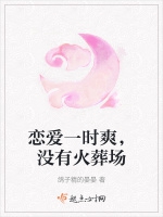 戀愛一時爽，沒有火葬場小說封面圖