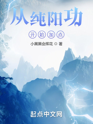 從純陽功開始加點小說封面圖
