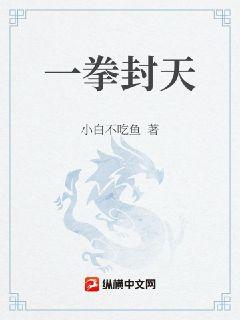一拳封天小說封面圖