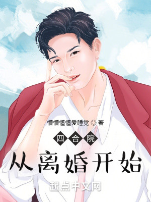 四合院：從離婚開始小說封面圖