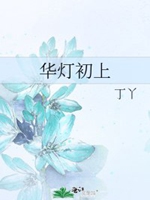 華燈初上小說封面圖