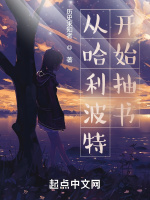 從哈利波特開始抽書小說封面圖