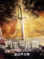 雞蛋哥傳奇小說封面圖