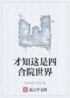 才知這是四合院世界小說封面圖