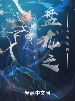 盤龍之異石覺醒小說封面圖