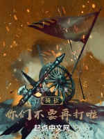 騎砍你們不要再打啦小說封面圖