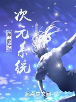 海賊之次元系統小說封面圖
