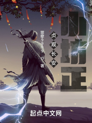 貞觀長安小坊正小說封面圖