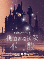 我的霍格沃茨不一般小說封面圖