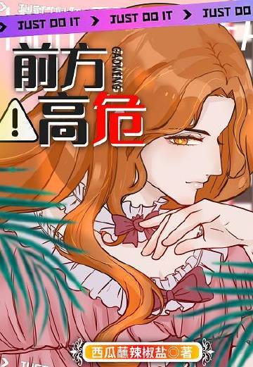 前方高危（無限）小說封面圖