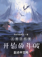 從贈送機緣開始的鬥破小說封面圖