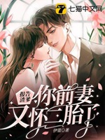 報告渣爹你前妻又懷二胎了小說封面圖