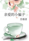 親愛的小騙子小說封面圖