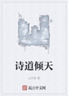 詩道傾天小說封面圖