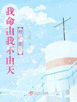 我命由我不由天，村妞變身小說封面圖