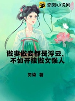 做妻做妾都是浮雲，不如開掛做女強人小說封面圖