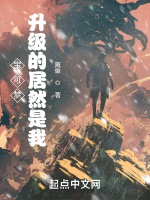 寶可夢：升級的居然是我？！小說封面圖