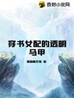 穿書女配的透明馬甲小說封面圖