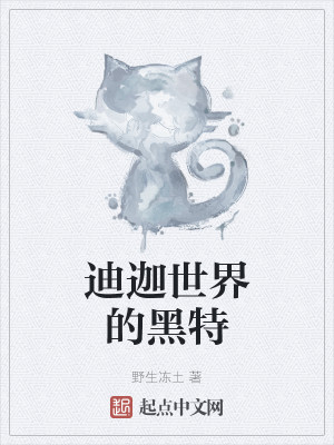 迪迦世界的黑特小說封面圖