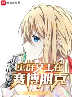 蟲羣女王在賽博朋克小說封面圖