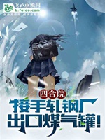 四合院：接手軋鋼廠，出口煤氣罐小說封面圖